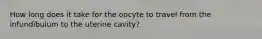 How long does it take for the oocyte to travel from the infundibulum to the uterine cavity?