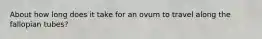 About how long does it take for an ovum to travel along the fallopian tubes?