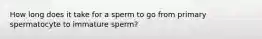 How long does it take for a sperm to go from primary spermatocyte to immature sperm?