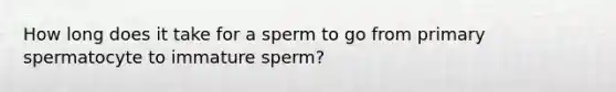 How long does it take for a sperm to go from primary spermatocyte to immature sperm?