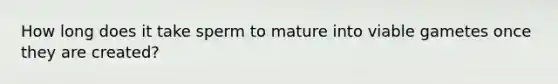 How long does it take sperm to mature into viable gametes once they are created?