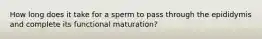 How long does it take for a sperm to pass through the epididymis and complete its functional maturation?