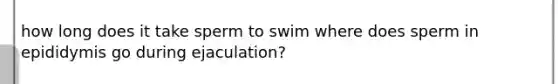 how long does it take sperm to swim where does sperm in epididymis go during ejaculation?