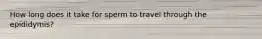 How long does it take for sperm to travel through the epididymis?