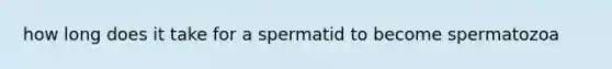 how long does it take for a spermatid to become spermatozoa