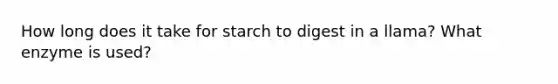 How long does it take for starch to digest in a llama? What enzyme is used?