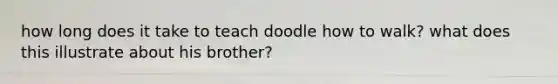 how long does it take to teach doodle how to walk? what does this illustrate about his brother?