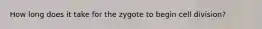 How long does it take for the zygote to begin cell division?