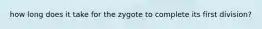 how long does it take for the zygote to complete its first division?