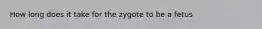 How long does it take for the zygote to be a fetus