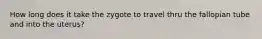 How long does it take the zygote to travel thru the fallopian tube and into the uterus?