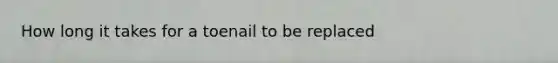 How long it takes for a toenail to be replaced