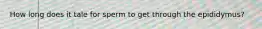 How long does it tale for sperm to get through the epididymus?
