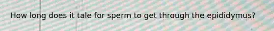 How long does it tale for sperm to get through the epididymus?