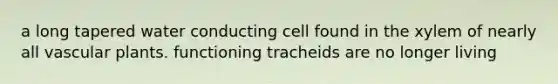 a long tapered water conducting cell found in the xylem of nearly all vascular plants. functioning tracheids are no longer living