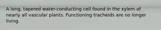 A long, tapered water-conducting cell found in the xylem of nearly all vascular plants. Functioning tracheids are no longer living.