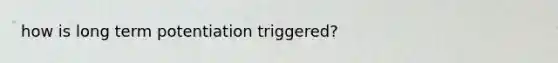 how is long term potentiation triggered?