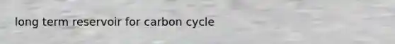 long term reservoir for carbon cycle