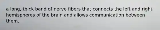 a long, thick band of nerve fibers that connects the left and right hemispheres of the brain and allows communication between them.