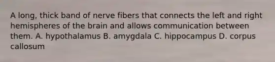 A long, thick band of nerve fibers that connects the left and right hemispheres of the brain and allows communication between them. A. hypothalamus B. amygdala C. hippocampus D. corpus callosum