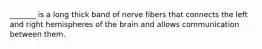 _______ is a long thick band of nerve fibers that connects the left and right hemispheres of the brain and allows communication between them.