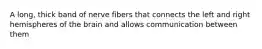 A long, thick band of nerve fibers that connects the left and right hemispheres of the brain and allows communication between them