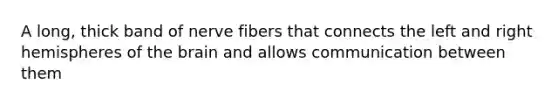 A long, thick band of nerve fibers that connects the left and right hemispheres of the brain and allows communication between them