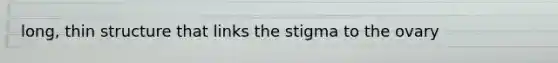 long, thin structure that links the stigma to the ovary