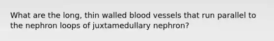 What are the long, thin walled blood vessels that run parallel to the nephron loops of juxtamedullary nephron?