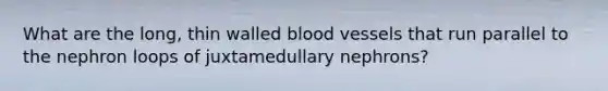 What are the long, thin walled <a href='https://www.questionai.com/knowledge/kZJ3mNKN7P-blood-vessels' class='anchor-knowledge'>blood vessels</a> that run parallel to the nephron loops of juxtamedullary nephrons?