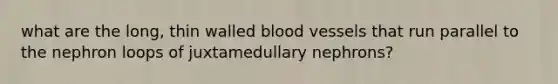 what are the long, thin walled blood vessels that run parallel to the nephron loops of juxtamedullary nephrons?