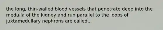 the long, thin-walled blood vessels that penetrate deep into the medulla of the kidney and run parallel to the loops of juxtamedullary nephrons are called...