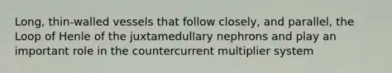 Long, thin-walled vessels that follow closely, and parallel, the Loop of Henle of the juxtamedullary nephrons and play an important role in the countercurrent multiplier system