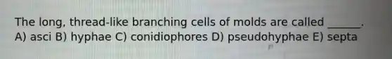 The long, thread-like branching cells of molds are called ______. A) asci B) hyphae C) conidiophores D) pseudohyphae E) septa