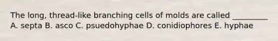 The long, thread-like branching cells of molds are called _________ A. septa B. asco C. psuedohyphae D. conidiophores E. hyphae