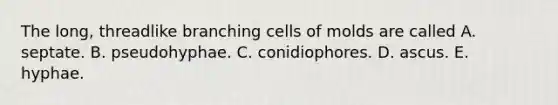 The long, threadlike branching cells of molds are called A. septate. B. pseudohyphae. C. conidiophores. D. ascus. E. hyphae.