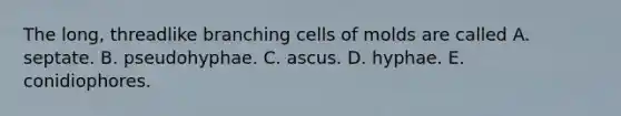 The long, threadlike branching cells of molds are called A. septate. B. pseudohyphae. C. ascus. D. hyphae. E. conidiophores.