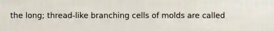 the long; thread-like branching cells of molds are called