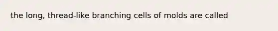 the long, thread-like branching cells of molds are called