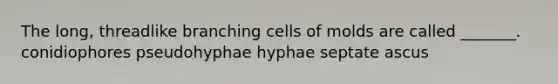 The long, threadlike branching cells of molds are called _______. conidiophores pseudohyphae hyphae septate ascus