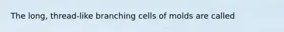 The long, thread-like branching cells of molds are called