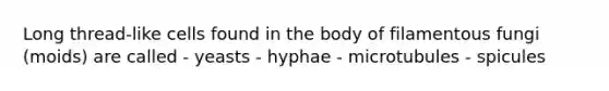 Long thread-like cells found in the body of filamentous fungi (moids) are called - yeasts - hyphae - microtubules - spicules