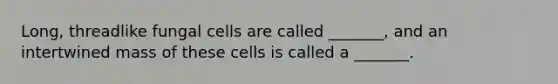 Long, threadlike fungal cells are called _______, and an intertwined mass of these cells is called a _______.