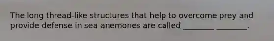 The long thread-like structures that help to overcome prey and provide defense in sea anemones are called ________ ________.