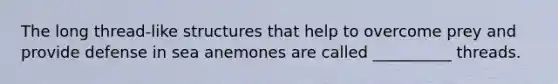 The long thread-like structures that help to overcome prey and provide defense in sea anemones are called __________ threads.