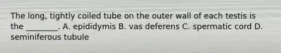 The​ long, tightly coiled tube on the outer wall of each testis is the​ ________. A. epididymis B. vas deferens C. spermatic cord D. seminiferous tubule