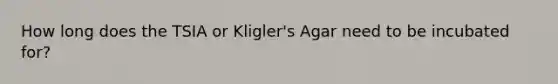 How long does the TSIA or Kligler's Agar need to be incubated for?