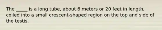 The _____ is a long tube, about 6 meters or 20 feet in length, coiled into a small crescent-shaped region on the top and side of the testis.