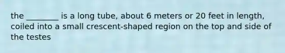 the ________ is a long tube, about 6 meters or 20 feet in length, coiled into a small crescent-shaped region on the top and side of the testes