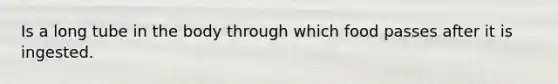 Is a long tube in the body through which food passes after it is ingested.